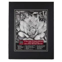 Best deal 😍 11" x 14" Raised Double Mat By Studio Décor®, 8" x 10" Opening by Studio Decor ⭐