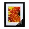 New 🔥 Black Gallery Wall Frame with Double Mat by Studio Décor® by Studio Decor 🔥