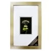 Coupon ⌛ Champagne Gallery Wall Frame with Double Mat by Studio Décor® by Studio Decor 🌟