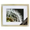 Best deal 🎁 Champagne Gallery Wall Frame with Double Mat by Studio Décor® by Studio Decor 🧨
