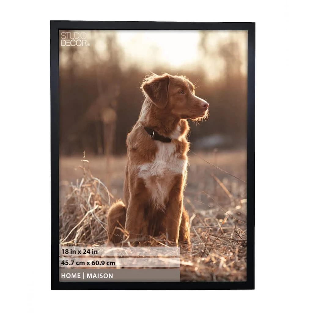 Brand new βοΈ 6 Pack: Black Tyler 18" x 24" Frame, Home by Studio Décor® by Studio Decor π 1 Brand new βοΈ 6 Pack: Black Tyler 18" x 24" Frame, Home by Studio Décor® by Studio Decor π