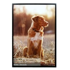 New 🥰 6 Pack: Black Tyler 24" x 36" Frame, Home by Studio Décor® by Studio Decor 😍