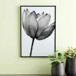 Best Pirce 👏 Black Multipurpose Frame, Basics By Studio Décor® by Studio Decor ❤️ -Studio Decor shop 10477545 20 1