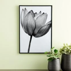 Best Pirce 👏 Black Multipurpose Frame, Basics By Studio Décor® by Studio Decor ❤️