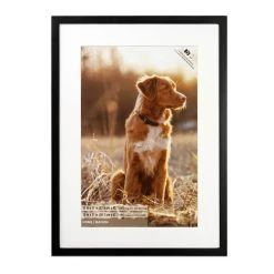 Brand new β€οΈ Black Tyler Frame, Home Collection By Studio Décor® by Studio Decor π―